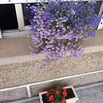 De 3 Y Un Bano Sin Cocina En Apartment