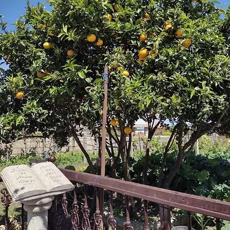 De 3 Y Un Bano Sin Cocina En 公寓 奥格罗夫半岛圣维森特