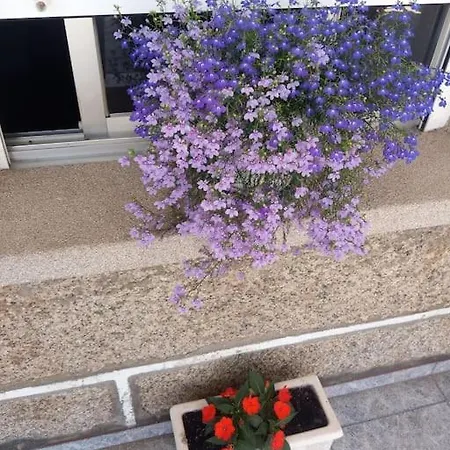 De 3 Y Un Bano Sin Cocina En San Vicente De O Grove Apartment
